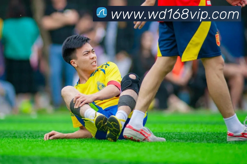 问鼎娱乐APP 封面图